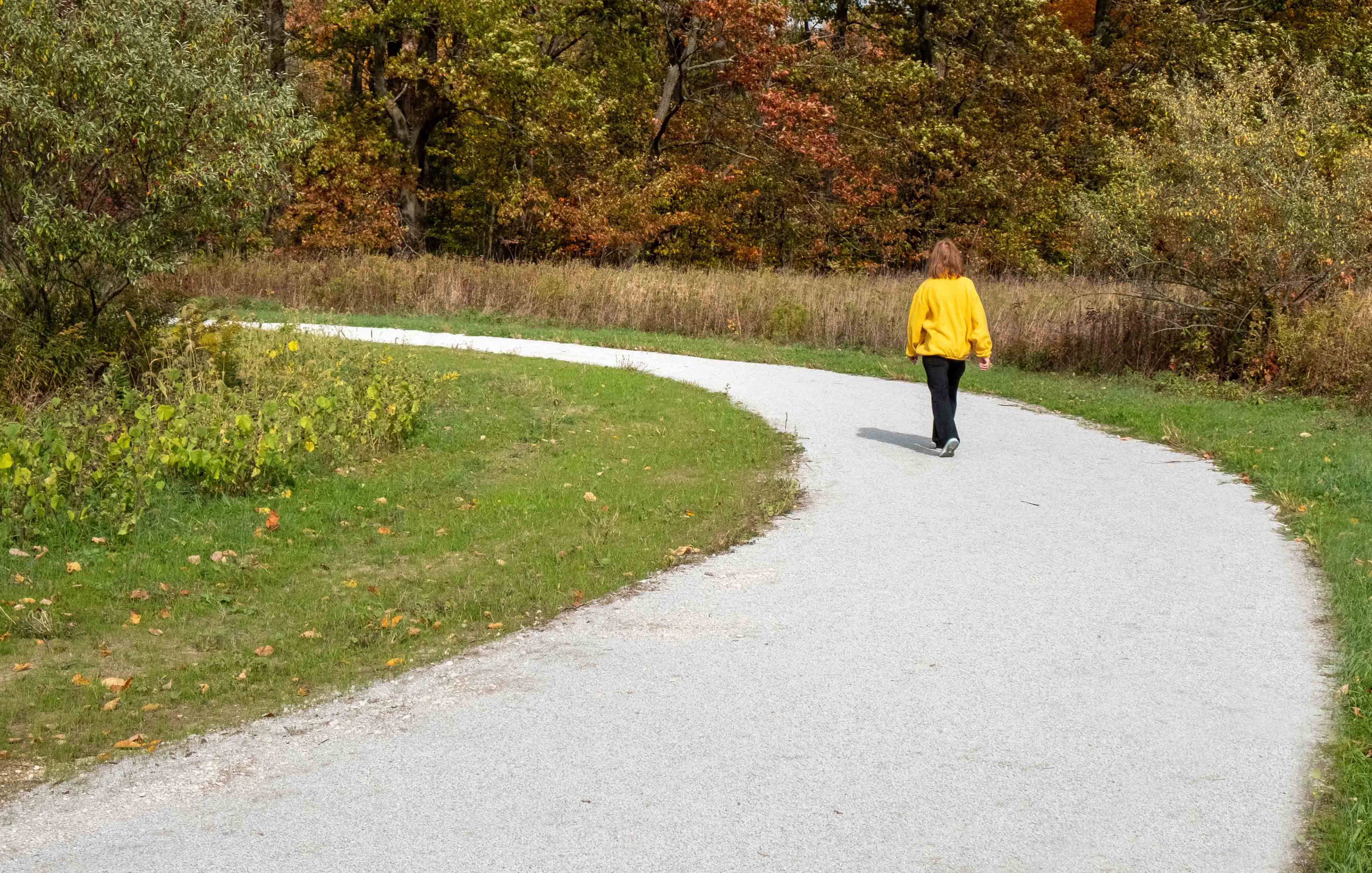 Bacon School Road Park Nature TrailRoyalton Township, Michigan Wightman