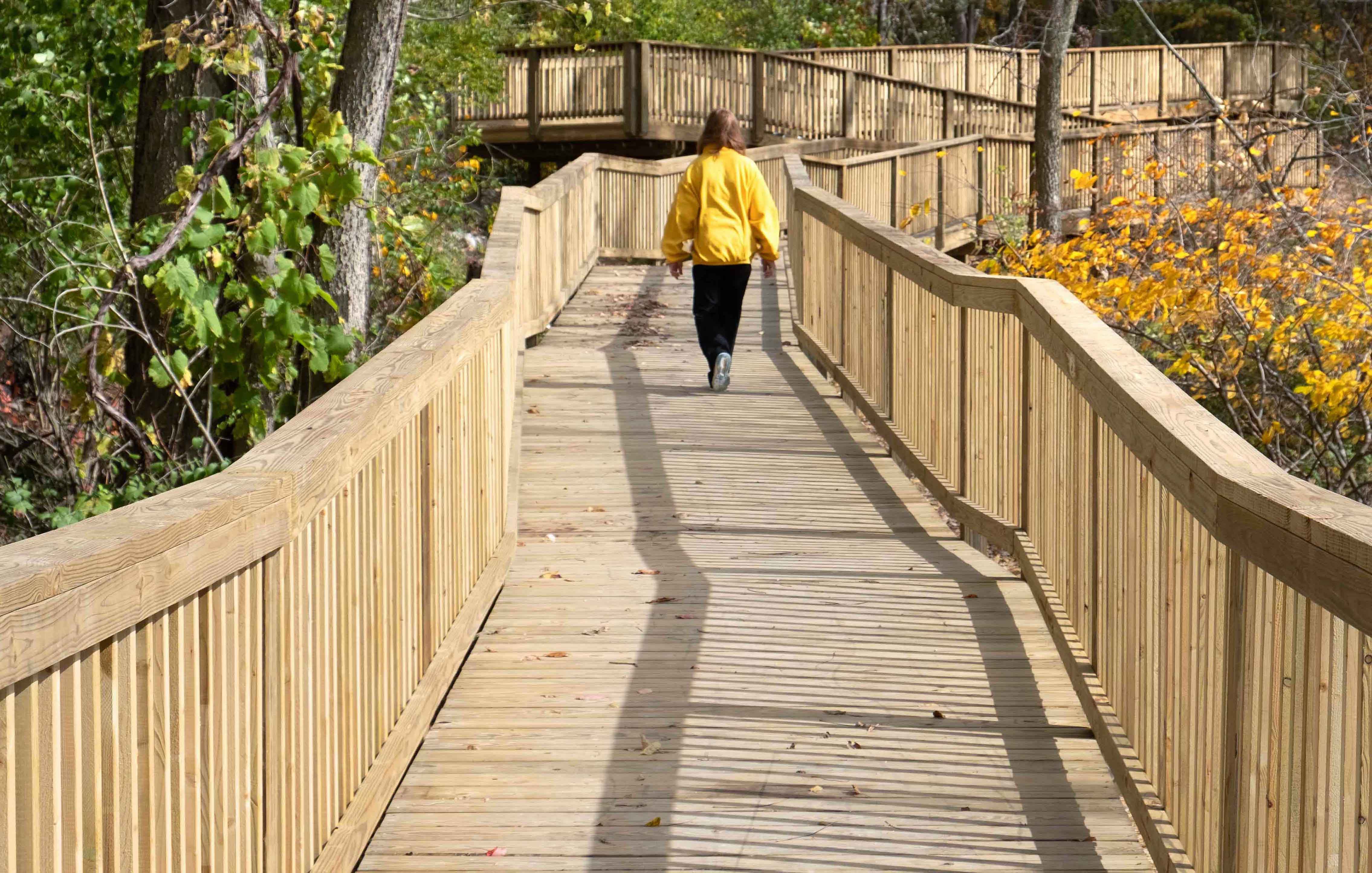 Bacon School Road Park Nature TrailRoyalton Township, Michigan Wightman